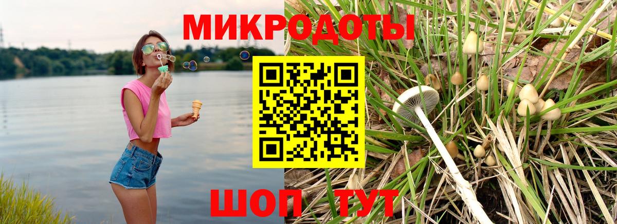 Галлюциногенные грибы GOLDEN TEACHER Славянск-на-Кубани