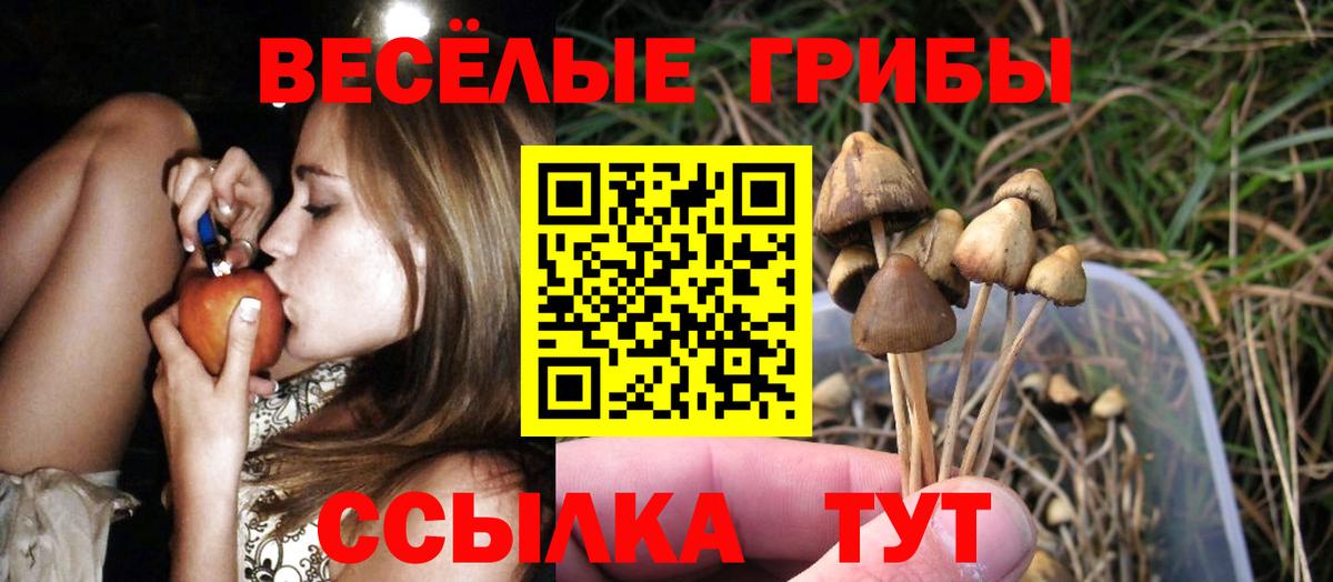 Псилоцибиновые грибы прущие грибы  купить закладку  Славянск-на-Кубани  Вход с VPN  Псилоцибиновые грибы MAGIC MUSHROOMS 